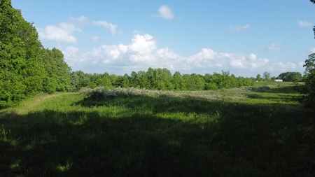 Land For Sale - image 31