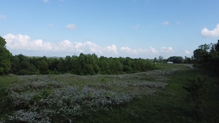 Land For Sale - image 24