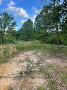 Land For Sale - image 13