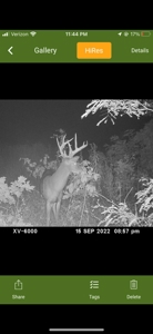 Land For Sale - image 1