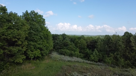 Land For Sale - image 21