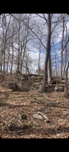 Land For Sale - image 5