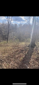 Land For Sale - image 8