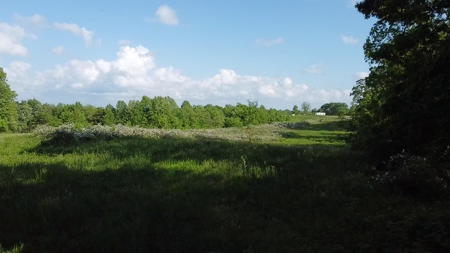 Land For Sale - image 30
