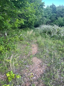 Land For Sale - image 16