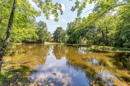 Country Multi-Home Farm for Sale in West TN - image 1