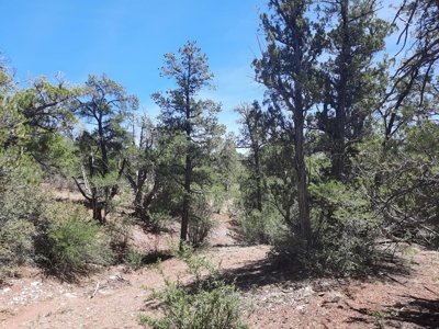 Remote Northern AZ off grid parcel - image 3
