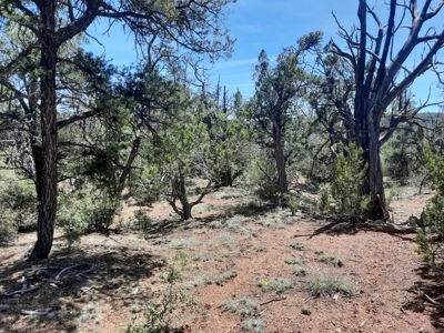 Remote Northern AZ off grid parcel - image 2