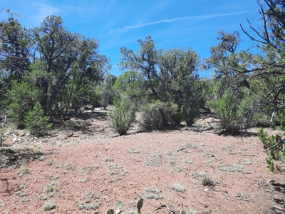 Remote Northern AZ off grid parcel - image 5