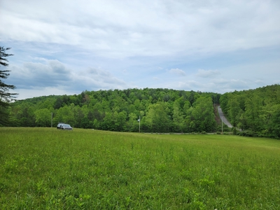 Offering #1 - Building Site for Sale in Patrick County - image 10