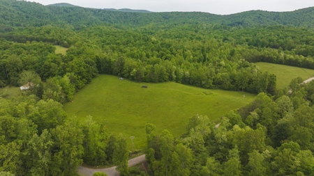 Offering #1 - Building Site for Sale in Patrick County - image 14