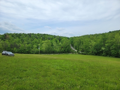 Offering #1 - Building Site for Sale in Patrick County - image 1