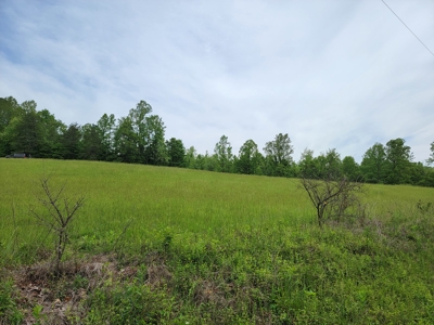 Offering #1 - Building Site for Sale in Patrick County - image 5