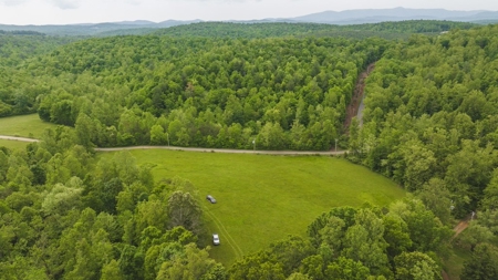 Offering #1 - Building Site for Sale in Patrick County - image 12