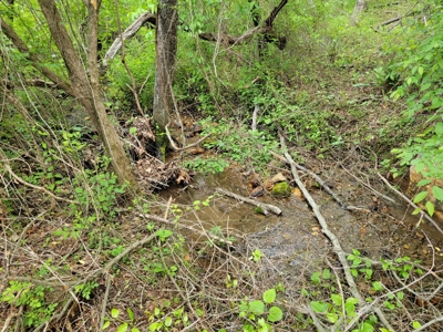 Offering #1 - Building Site for Sale in Patrick County - image 11
