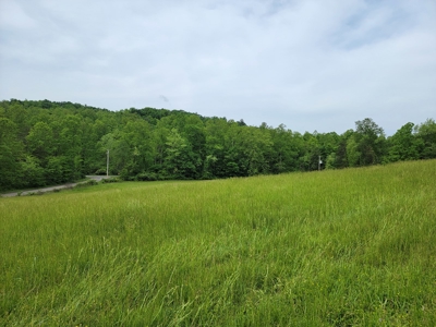 Offering #1 - Building Site for Sale in Patrick County - image 9