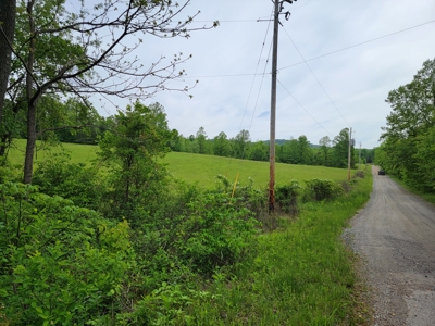 Offering #1 - Building Site for Sale in Patrick County - image 3