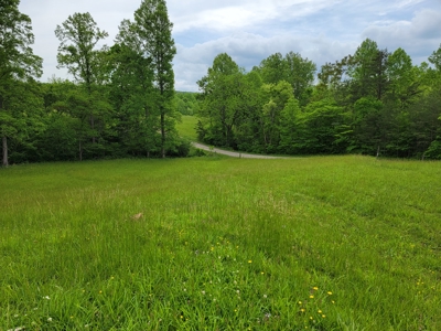 Offering #1 - Building Site for Sale in Patrick County - image 8
