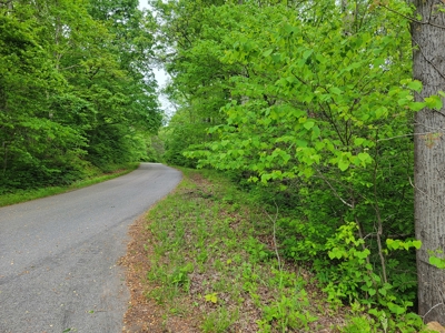 Offering #1 - Building Site for Sale in Patrick County - image 2
