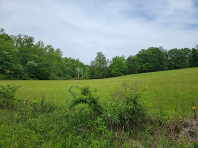 Offering #1 - Building Site for Sale in Patrick County - image 6