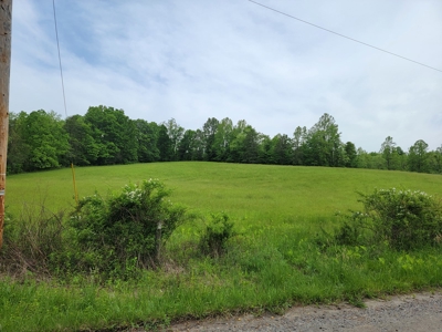 Offering #1 - Building Site for Sale in Patrick County - image 4