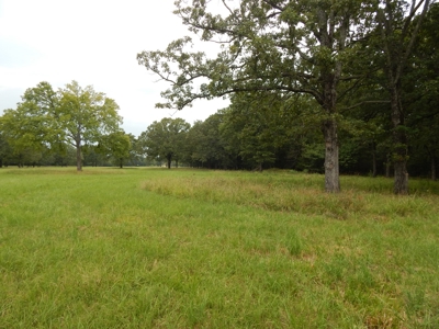 Beautiful Off Grid Property Bagwell TX Red River County - image 17