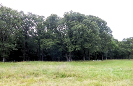 Beautiful Off Grid Property Bagwell TX Red River County - image 12
