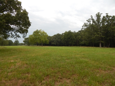 Beautiful Off Grid Property Bagwell TX Red River County - image 9