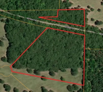 Beautiful Off Grid Property Bagwell TX Red River County - image 1
