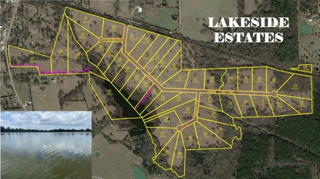 Beautiful Off Grid Property Bagwell TX Red River County - image 3
