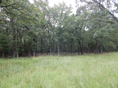 Beautiful Off Grid Property Bagwell TX Red River County - image 13