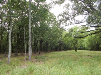 Beautiful Off Grid Property Bagwell TX Red River County - image 18