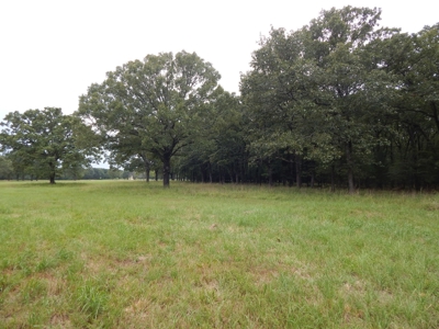 Beautiful Off Grid Property Bagwell TX Red River County - image 16