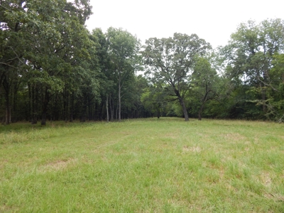 Beautiful Off Grid Property Bagwell TX Red River County - image 5