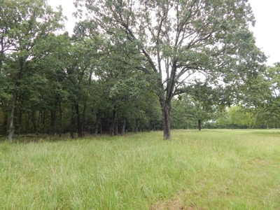 Beautiful Off Grid Property Bagwell TX Red River County - image 15