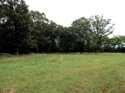 Beautiful Off Grid Property Bagwell TX Red River County - image 8