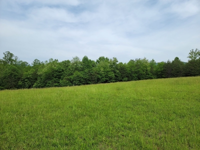 Offering #2 - Land for Sale in Patrick County - image 7