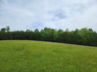 Offering #2 - Land for Sale in Patrick County - image 6