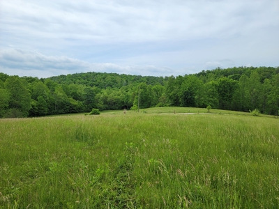 Offering #2 - Land for Sale in Patrick County - image 1
