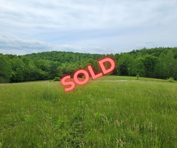 Offering #2 - Land for Sale in Patrick County - image 12