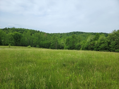 Offering #2 - Land for Sale in Patrick County - image 10