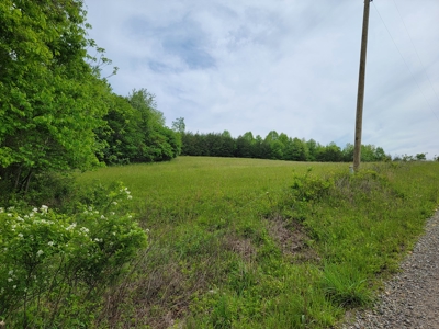 Offering #2 - Land for Sale in Patrick County - image 4