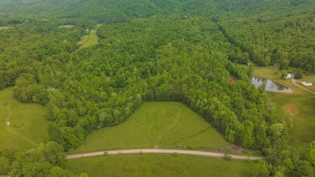 Offering #2 - Land for Sale in Patrick County - image 11