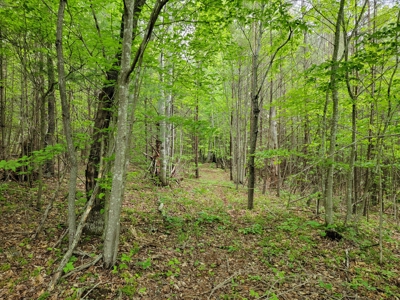 Offering #2 - Land for Sale in Patrick County - image 9