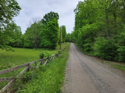 Offering #3 - Country Home & Land for Sale - image 3