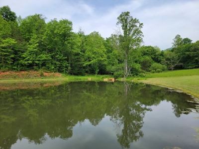 Offering #3 - Country Home & Land for Sale - image 17