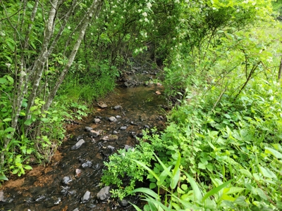 Offering #3 - Country Home & Land for Sale - image 2