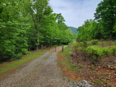 Offering #3 - Country Home & Land for Sale - image 7