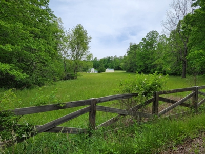 Offering #3 - Country Home & Land for Sale - image 4