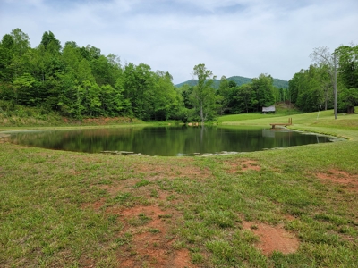 Offering #3 - Country Home & Land for Sale - image 11